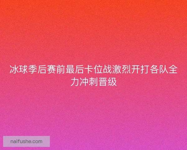 冰球季后赛前最后卡位战激烈开打各队全力冲刺晋级