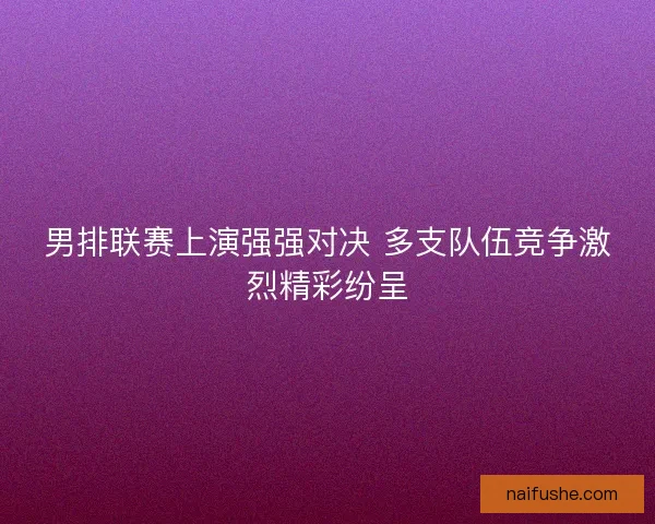 男排联赛上演强强对决 多支队伍竞争激烈精彩纷呈