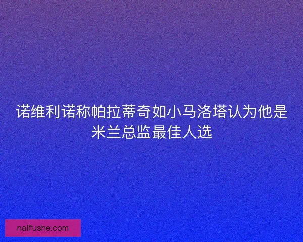 诺维利诺称帕拉蒂奇如小马洛塔认为他是米兰总监最佳人选